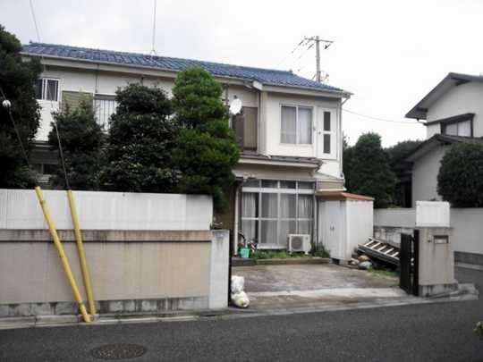 Local land photo. Appearance 1