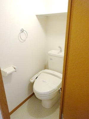 Toilet. Bathroom with a shower