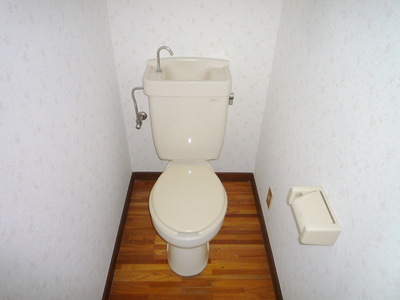 Toilet. Toilet