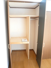 Other. There is a living room closet