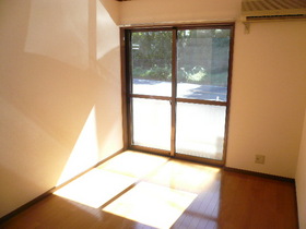 Living and room. Sunny in the living room