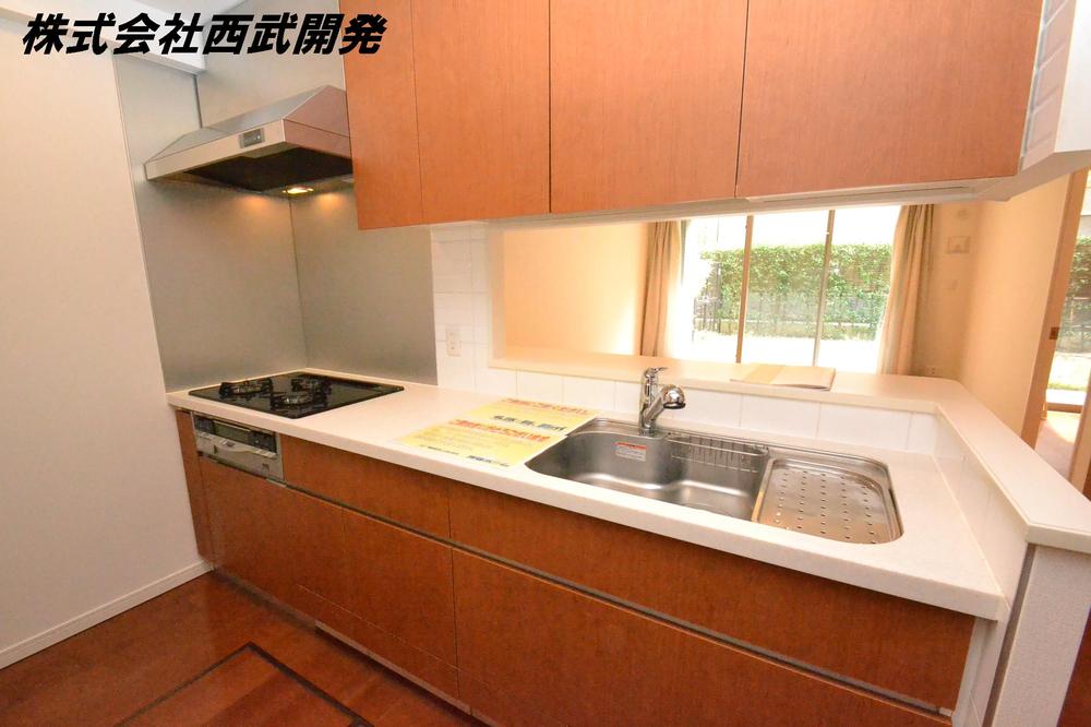 Kitchen. Indoor (2013 11) shooting