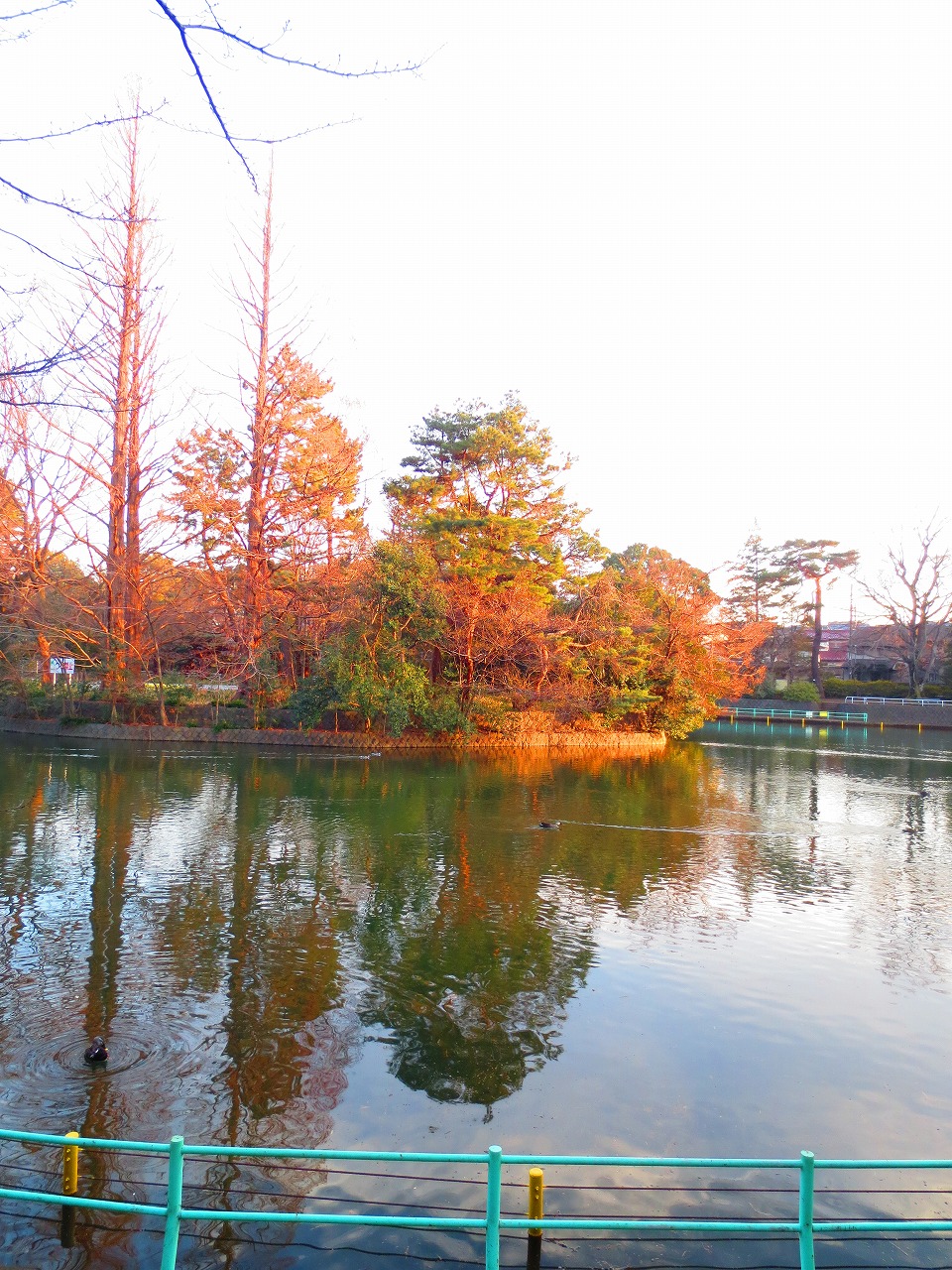 park. 1200m to Musashi Seki park (park)