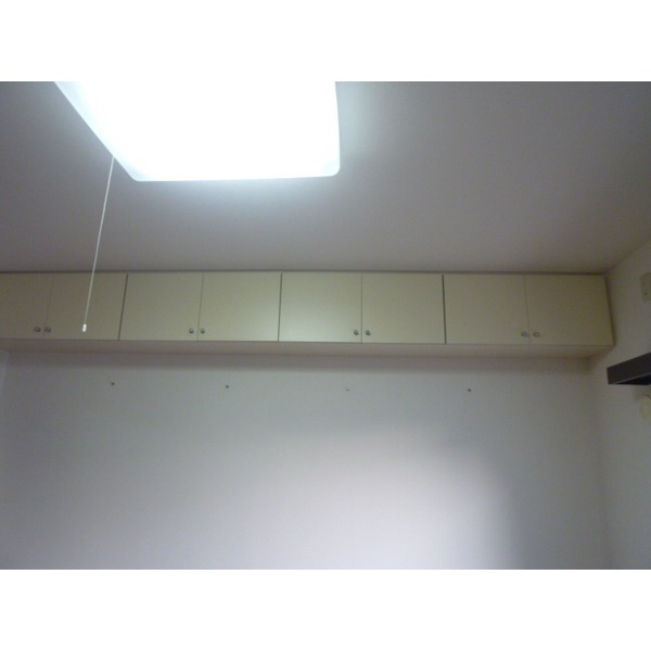 Receipt. Western-style upper receiving