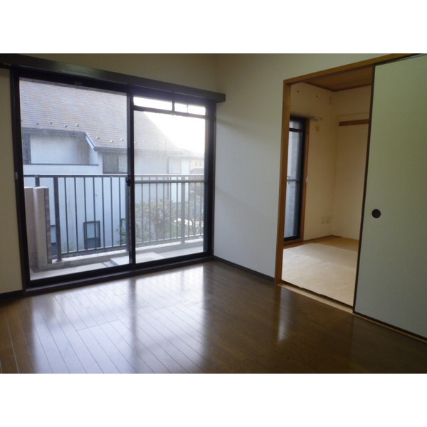 Living and room. Sunny room