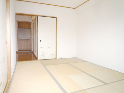 Other room space. Beautiful Japanese-style room