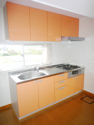 Kitchen. System kitchen