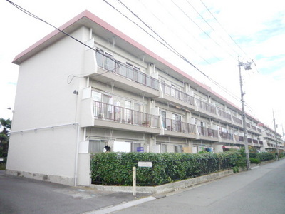 Other. 5m to appearance (Other)