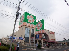 Supermarket. 400m up to life Niiza store (Super)