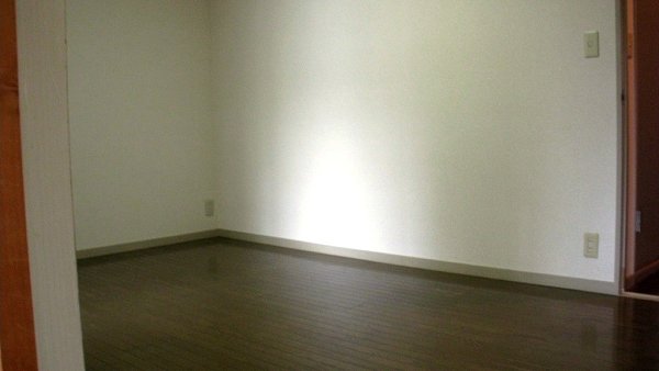 Living and room. Room flooring ☆ 