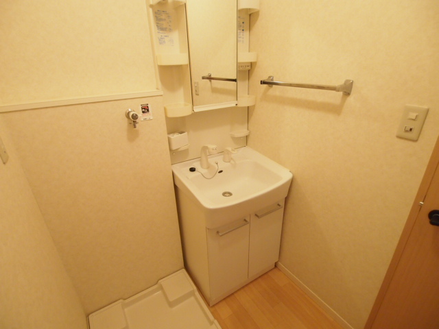 Washroom. Washing machine is with Storage. 