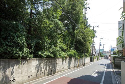 Streets around. 50m until the front road of the Property