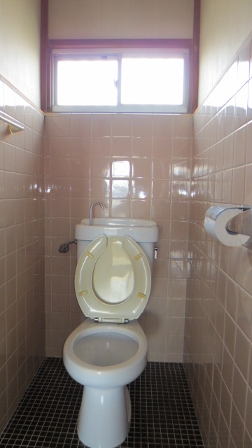 Toilet. There is a window in the toilet! Cute toilet that is clean.