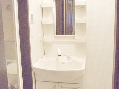 Washroom. Shampoo dresser