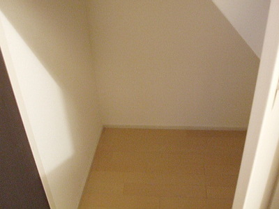 Other room space. Stairs under storage