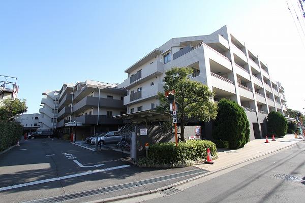 Local appearance photo. Local (November 23, 2013) Shooting