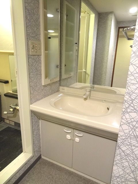 Washroom. Washbasin oversized, Shower