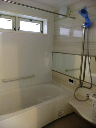 Bathroom. Indoor (10 May 2013) Shooting