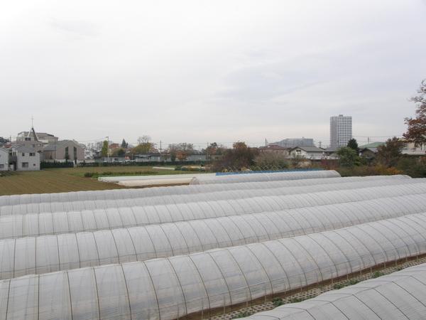 View. Is the view from the veranda