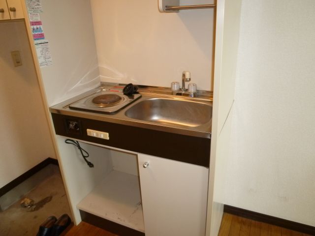 Kitchen. Electric stove in the kitchen.
