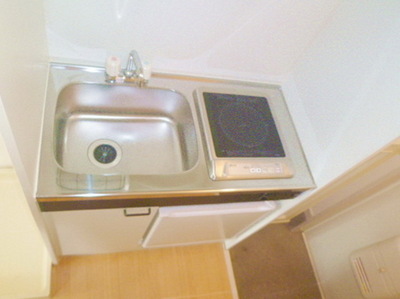 Kitchen. Kitchen space