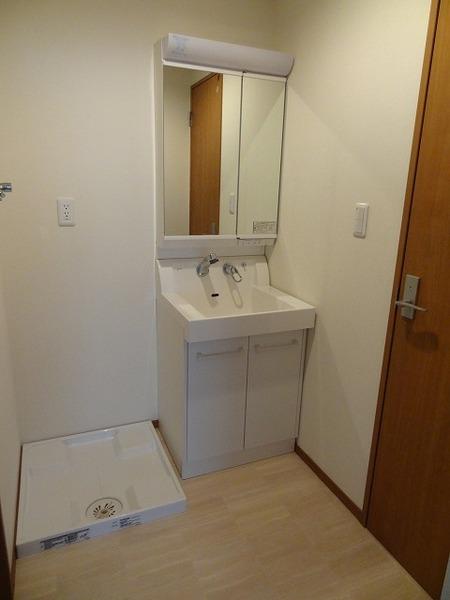 Washroom. Washbasin with shower, Laundry Area