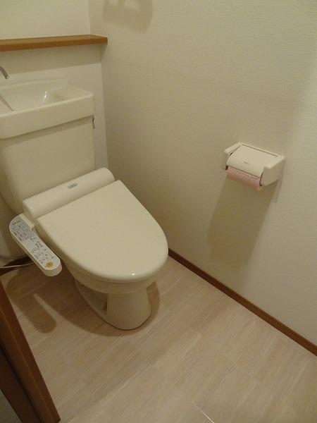 Toilet. Washlet Installed!