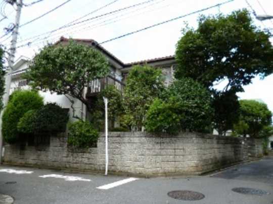 Local land photo. appearance