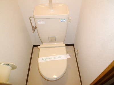 Toilet. Toilet with cleanliness