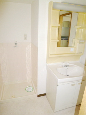 Washroom. Independent wash basin