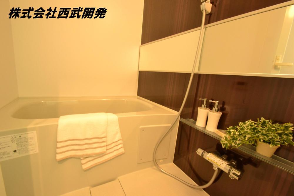 Bathroom. Indoor (11 May 2013) Shooting