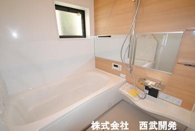 Bathroom. Indoor (12 May 2013) Shooting