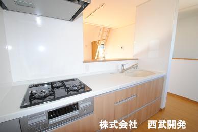 Kitchen. Indoor (12 May 2013) Shooting