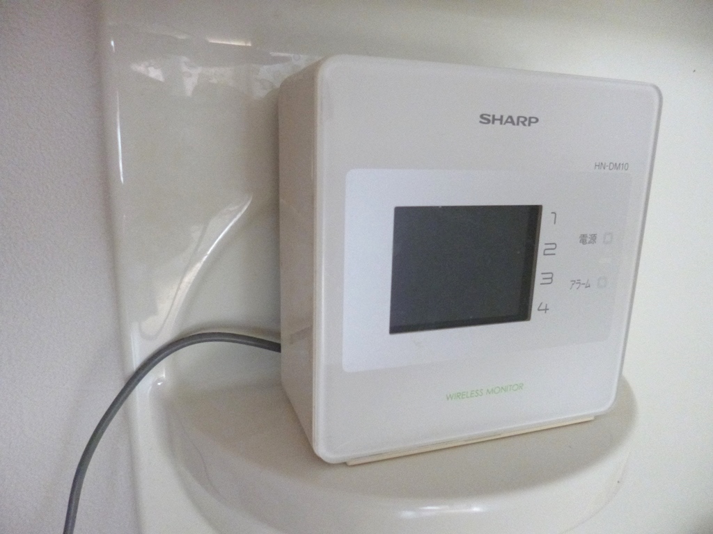 Security. Monitor with intercom