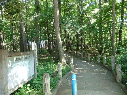 Streets around. Enhancement of the surrounding environment