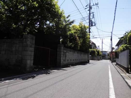 Local land photo. Appearance 1