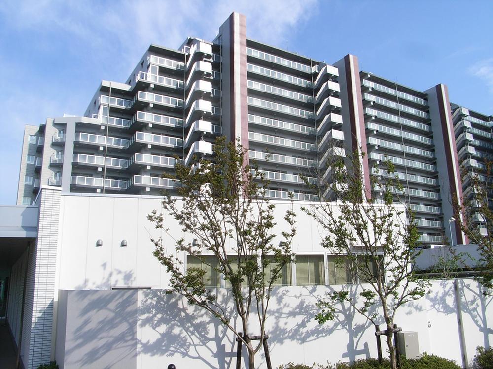 Local appearance photo. Local (11 May 2012) shooting