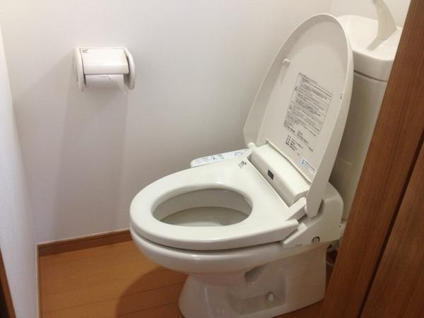 Toilet. Washlet toilet
