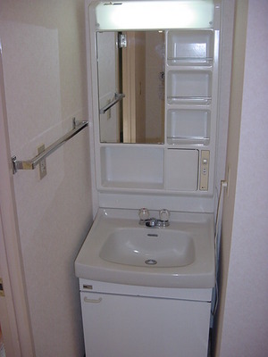 Washroom. Bathroom vanity