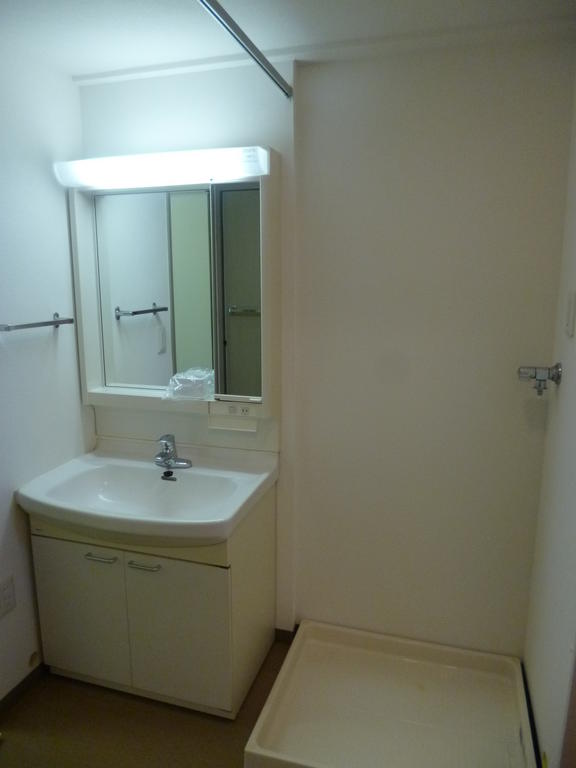 Washroom. Bathroom vanity