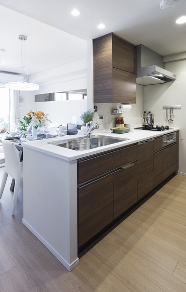 Disposer and dishwasher washing machine to process the garbage, Water purification function shower faucet, High-performance system kitchen equipped with such wide sink