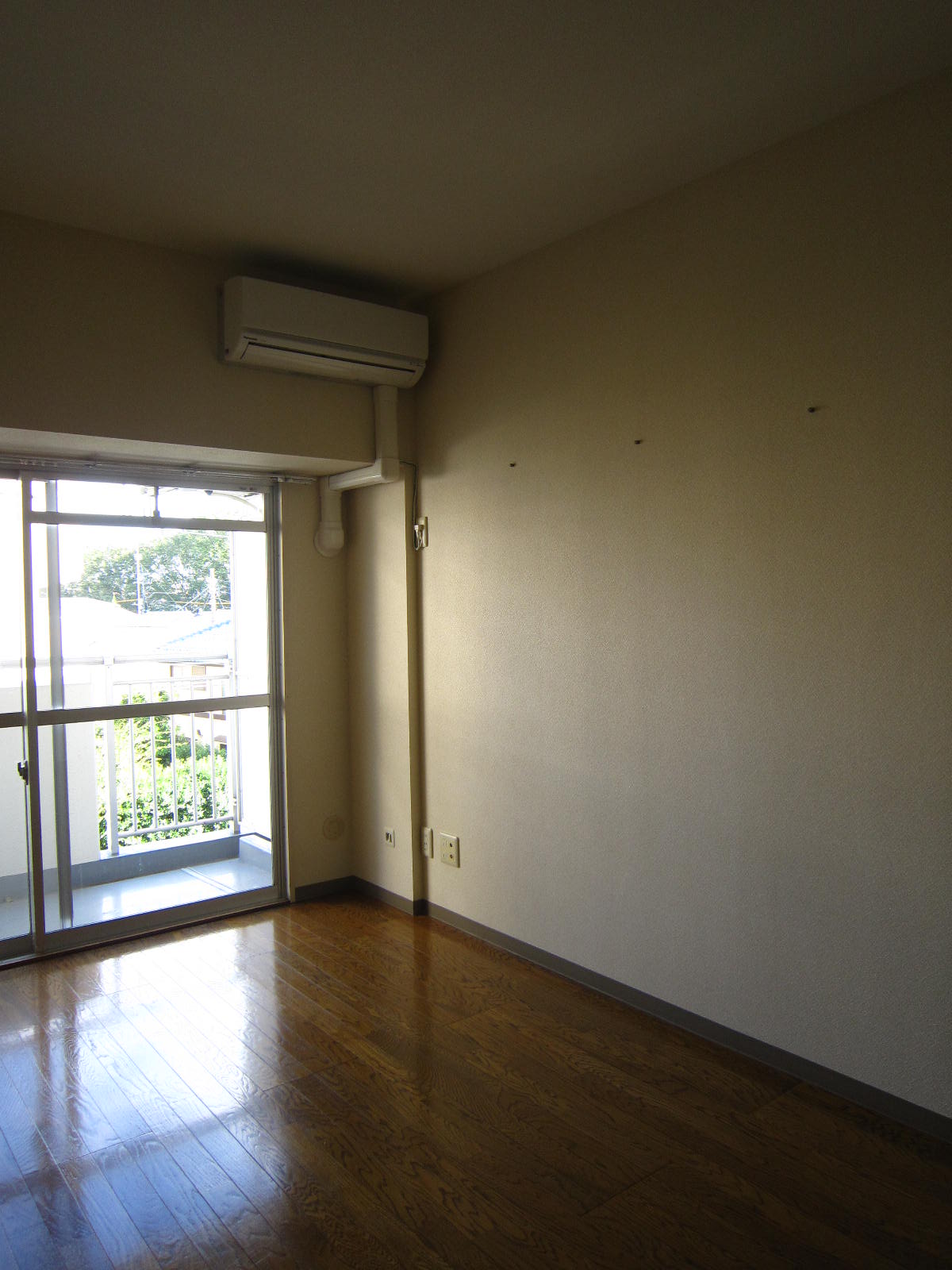 Living and room. Air conditioning With one
