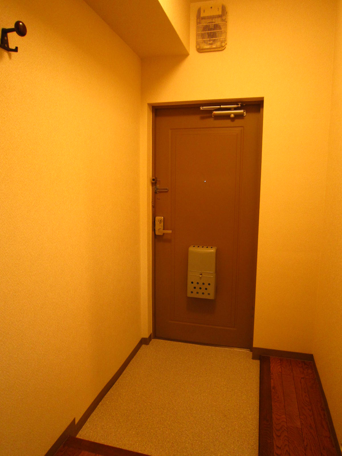 Entrance. Entrance With a coat hook