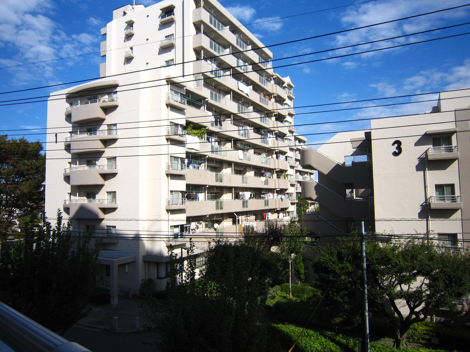 View. Many green, The sky looks beautiful blue