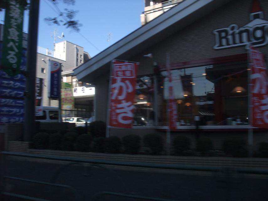 Other. 300m to Ringer Hut (Other)