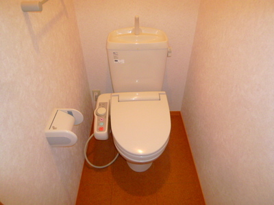 Toilet. Toilet