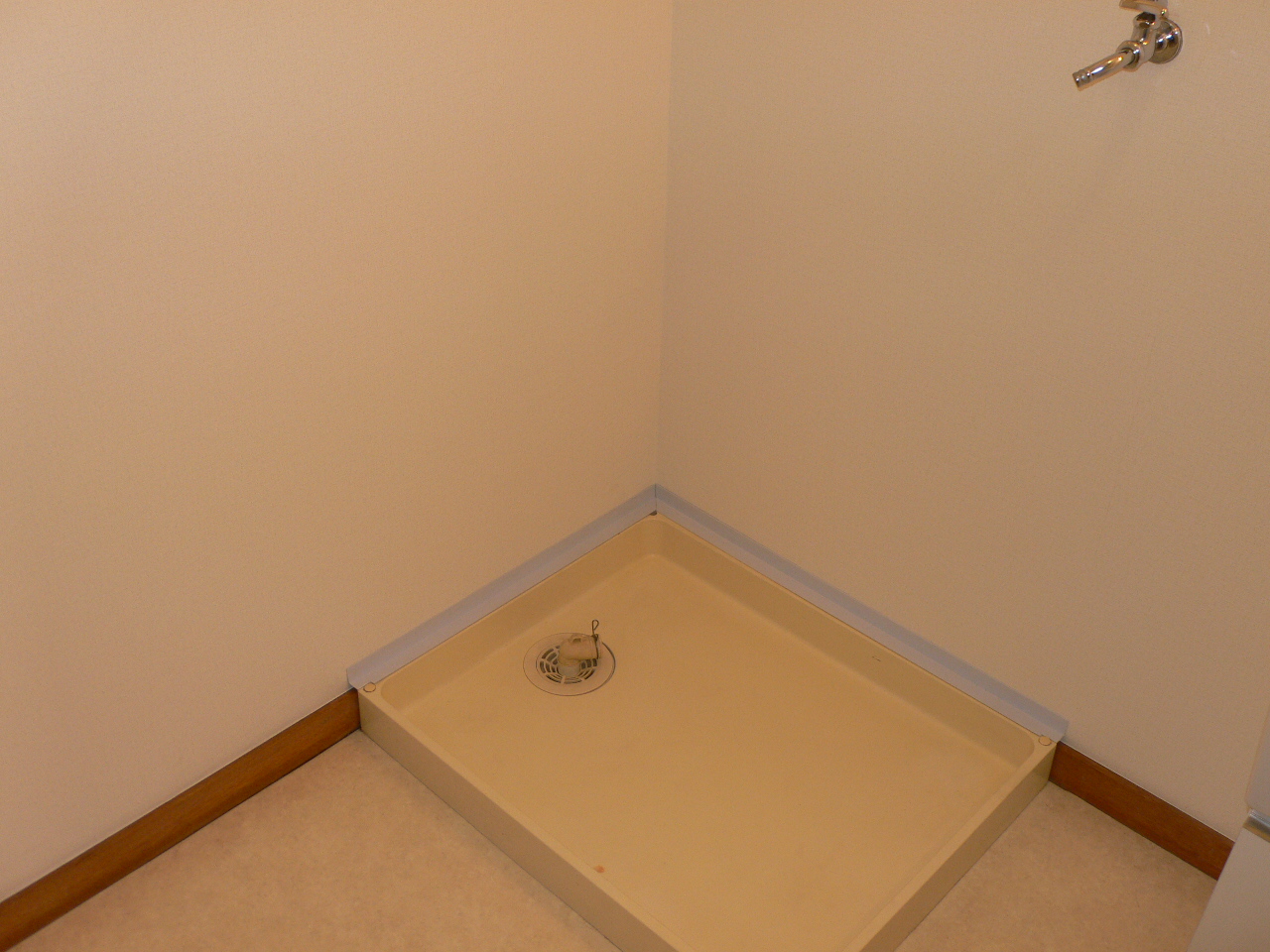 Other Equipment. There yard indoor washing machine. 