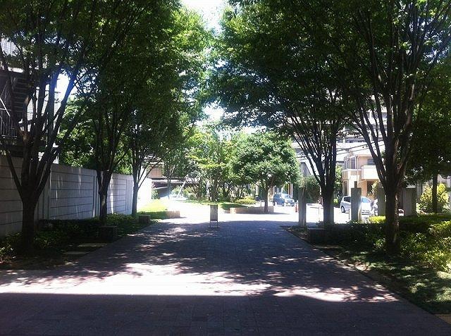 Entrance. Common areas