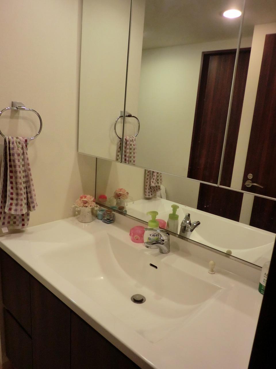 Wash basin, toilet. Indoor (12 May 2013) Shooting