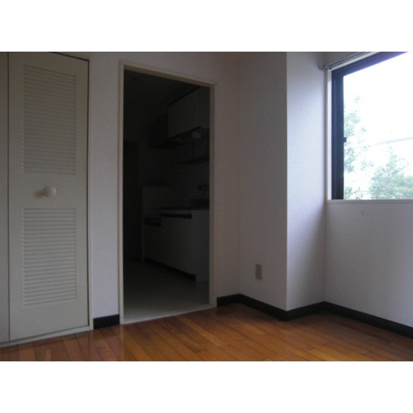 Living and room. Airy room